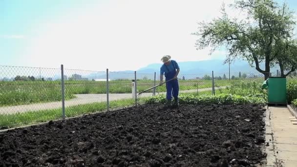 Gärtner bereitet Feld vor — Stockvideo
