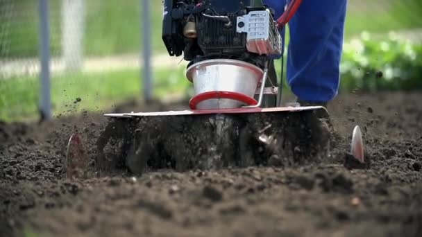 Homme labourant le champ — Video