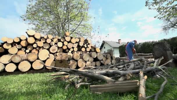 Worker cutting logs with young lady helping — Stock Video