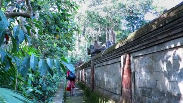 Nő elhaladó kő templom kerítés — Stock videók