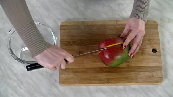 Vrouwelijke handen voorbereiden heerlijke smoothie — Stockvideo