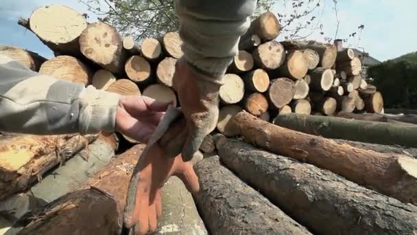 Werken met hout persoon zet — Stockvideo