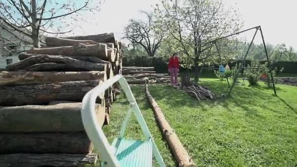 Paseo manual hacia la pila de troncos de madera — Vídeo de stock