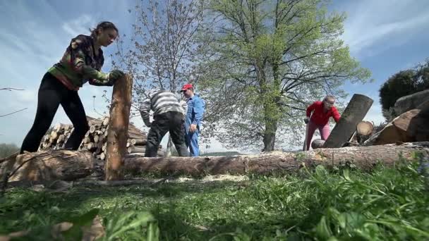Travailler avec du bois pour le réchauffement hivernal — Video