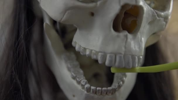 Brushing skeleton's teeth — Stock Video