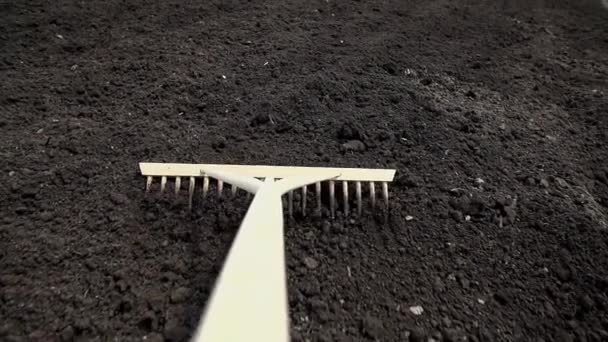 园丁用耙子 — 图库视频影像