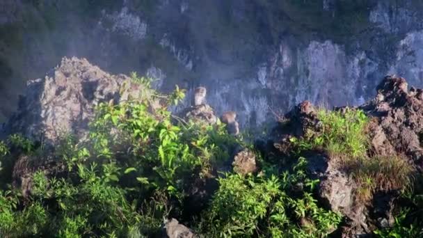 Apen lopen rond de rand van de actieve vulkaan — Stockvideo