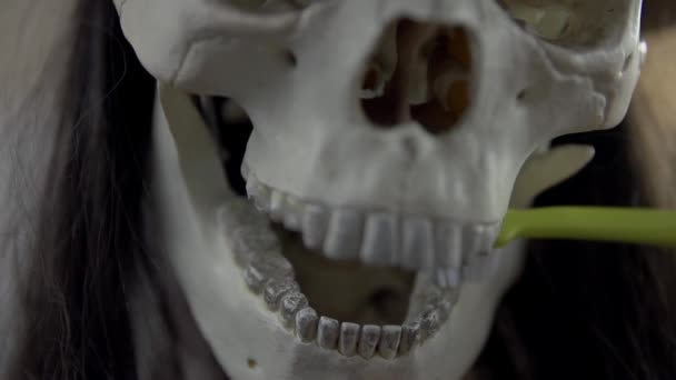 Brushing skeleton's teeth — Stock Video