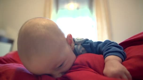 Bambino ragazzo è posa su coperta rossa — Video Stock