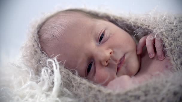 El bebé está cubierto con tela de lana. — Vídeos de Stock