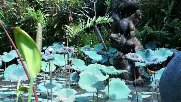 Estatua de piedra en medio del estanque de loto — Vídeos de Stock