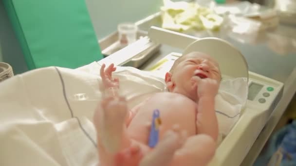 Sjuksköterska väger bara född baby — Stockvideo