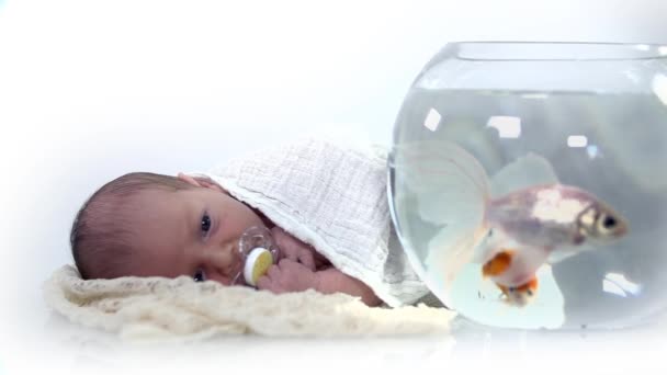 Bébé couché à côté du bol à poisson — Video