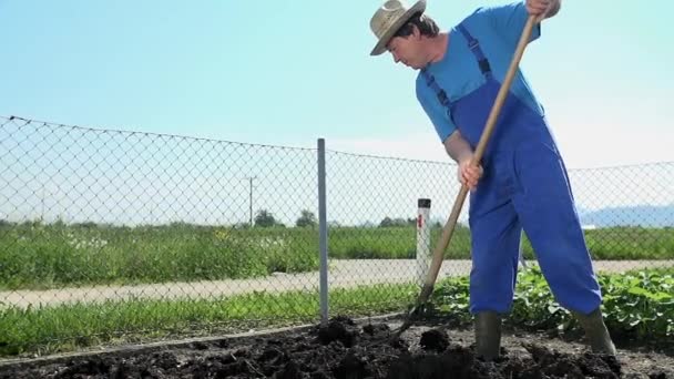 Gärtner beginnt mit dem Ausstreuen der Gülle — Stockvideo