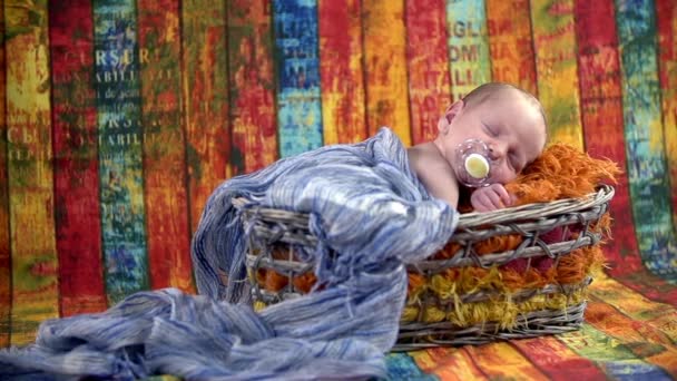 Noworodek śpi w koszyku — Wideo stockowe