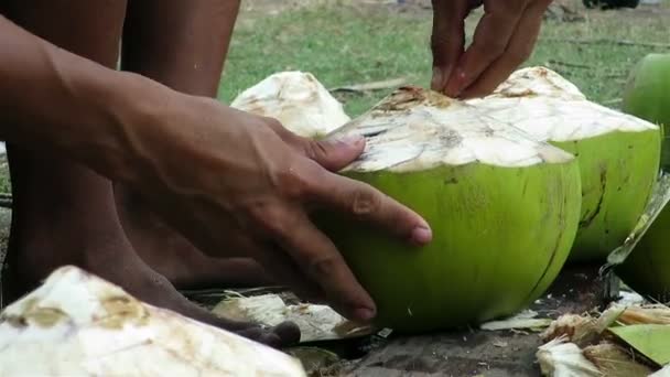Az ember kezét előkészítése kókuszdió — Stock videók