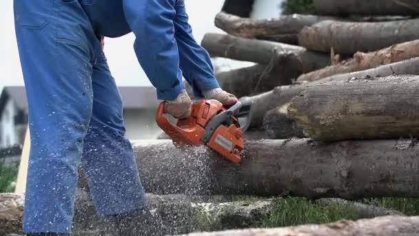 Chainsaw in action in slow motion — Stock Video