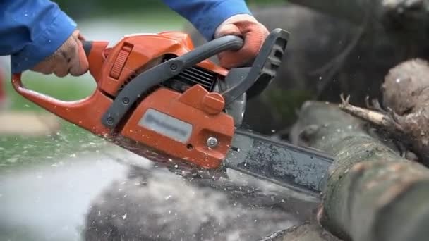 Corte a través de madera con motosierra en cámara lenta — Vídeo de stock