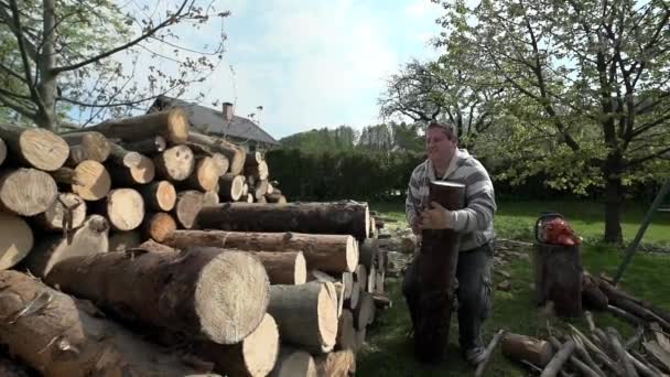 Waldarbeiter reinigen Holz nach dem Sägen — Stockvideo