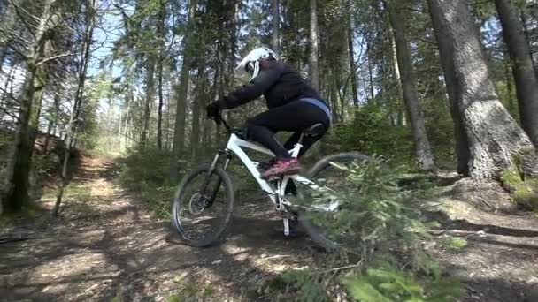 Motorista de downhill dirigindo em uma floresta — Vídeo de Stock