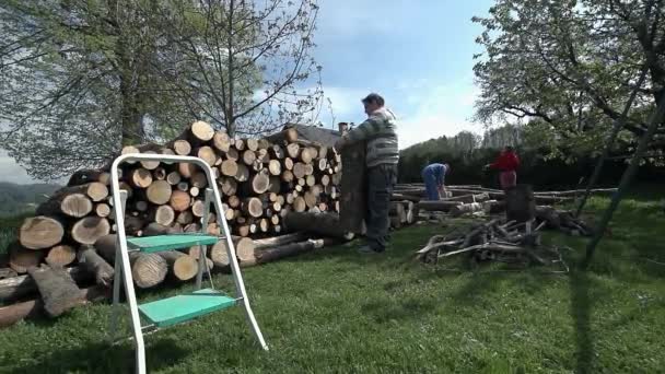 People storing wood for cold days — Stock Video