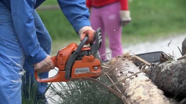 Chainsawing log with sawdust flying around — Stock Video
