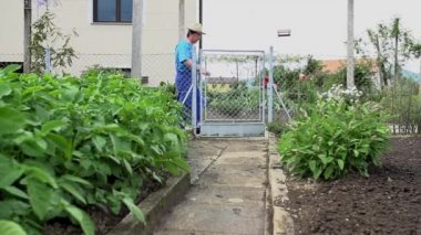 sebze almaya giden adam