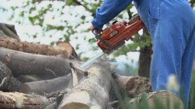 Yavaş hareket günlüğüne Chainsaw uzak daldan