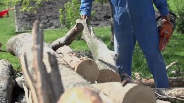 Günlükleri ahşap küçük bardaklar haddeleme