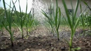 El ile Bahçe Sulama