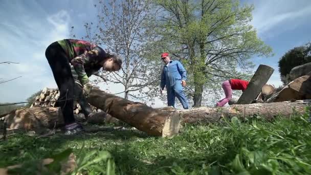 Jonge vrouw trekken log op gras — Stockvideo