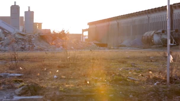 Field with piles of scrap and rubble — Stock Video