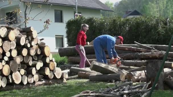 Bakgård skärande loggar för vinterförvaring — Stockvideo