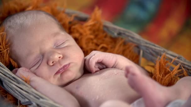 Le bébé dort dans le panier — Video