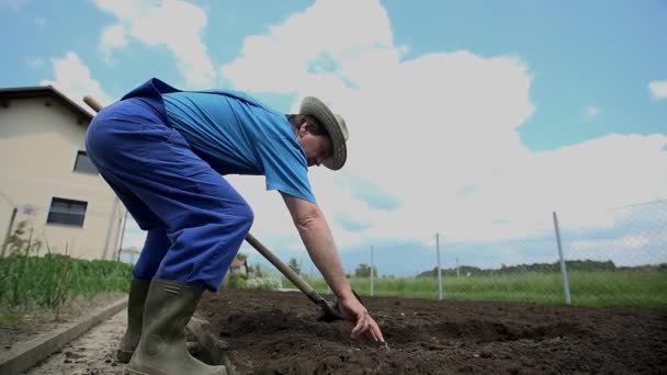 Jardinero volteando el suelo — Vídeo de stock