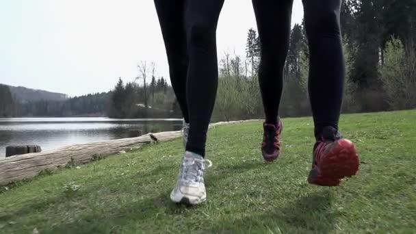 Zwei fitte Frauen laufen — Stockvideo