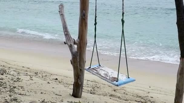 Rustic swing made out of driftwood — Stock Video