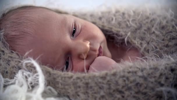 Baby is covered with  woollen cloth — Stock Video