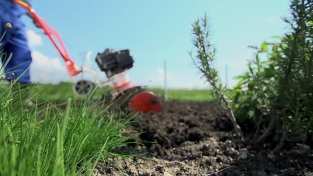 Homme labourant des terres — Video