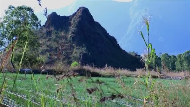 Vista sobre el monte Agung en Bali — Vídeo de stock