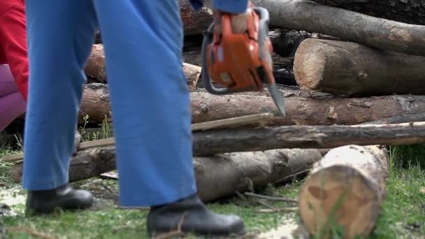 Распиловка древесины в замедленной съемке — стоковое видео