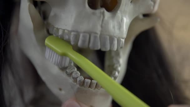 Hand Brushing skeleton's teeth — Stock Video