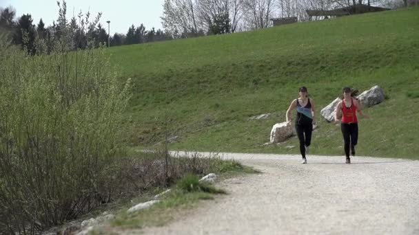 Adatto alle donne che fanno jogging — Video Stock