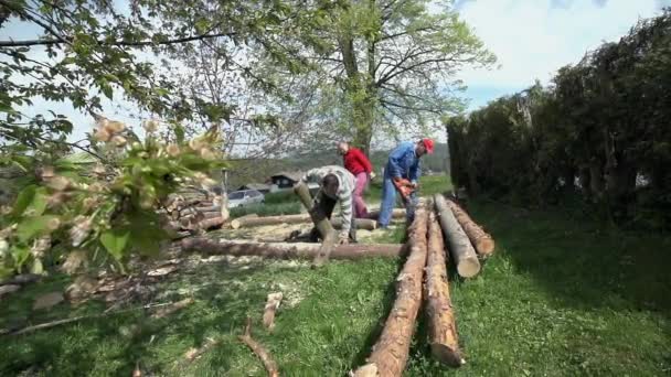 Двое мужчин, работающих со сваями древесины — стоковое видео
