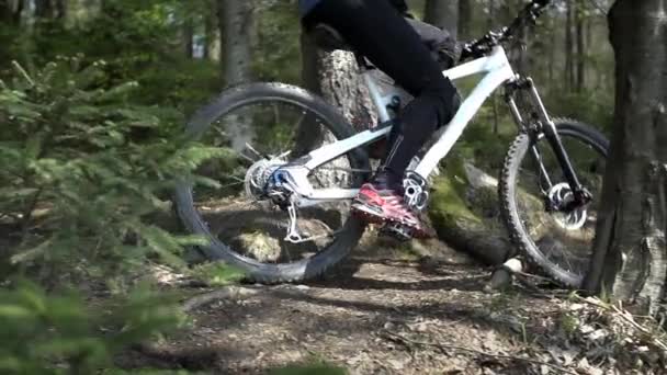 Rider met volledige uitrusting training — Stockvideo