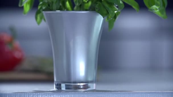 Nice decorative plant in a silver vase — Stock Video