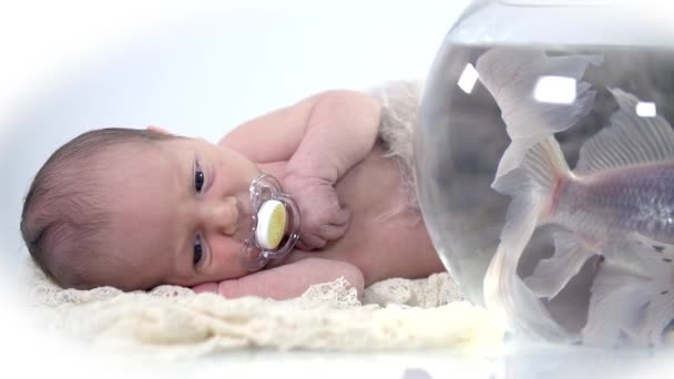 Bebé acostado al lado de la pecera — Vídeo de stock