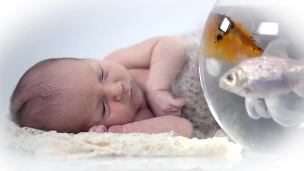 Bayi berbaring di samping mangkuk ikan — Stok Video