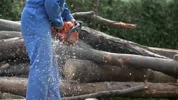 Pile of logs chainsawing for winter in slow motion — Stock Video