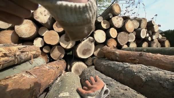 Schutzhandschuhe auf Stapel von Baumstämmen anlegen — Stockvideo